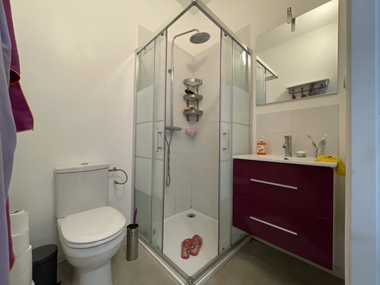 Salle de bains - Chambre 1