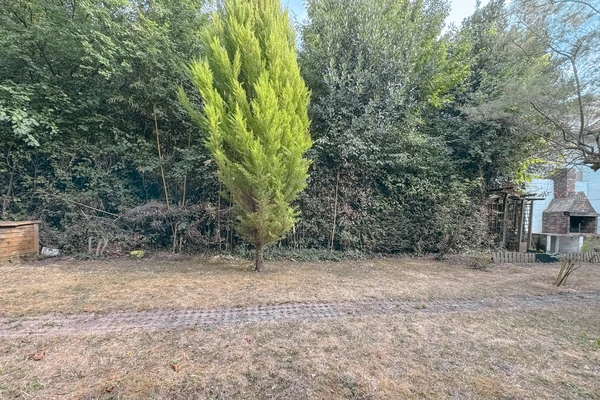 Jardin