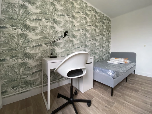 Chambre 3